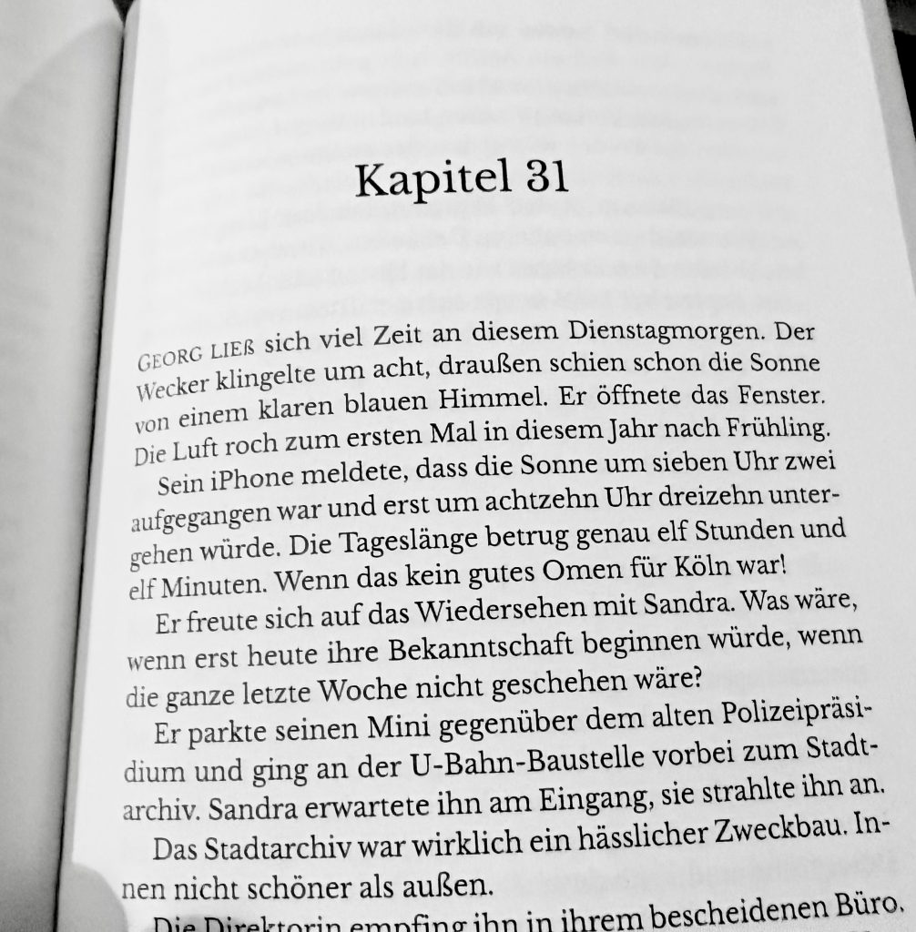 Textausschnitt aus "Der Richter-Code"